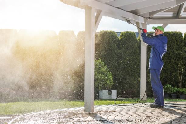 Best Animal Enclosure Cleaning  in South Roxana, IL
